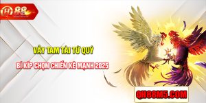 vay-tam-tai-tu-quy-qh88-thumb